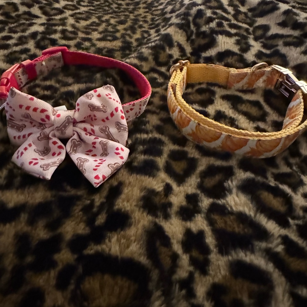 Gingerbread man and pumpkin dog collar set for small dog